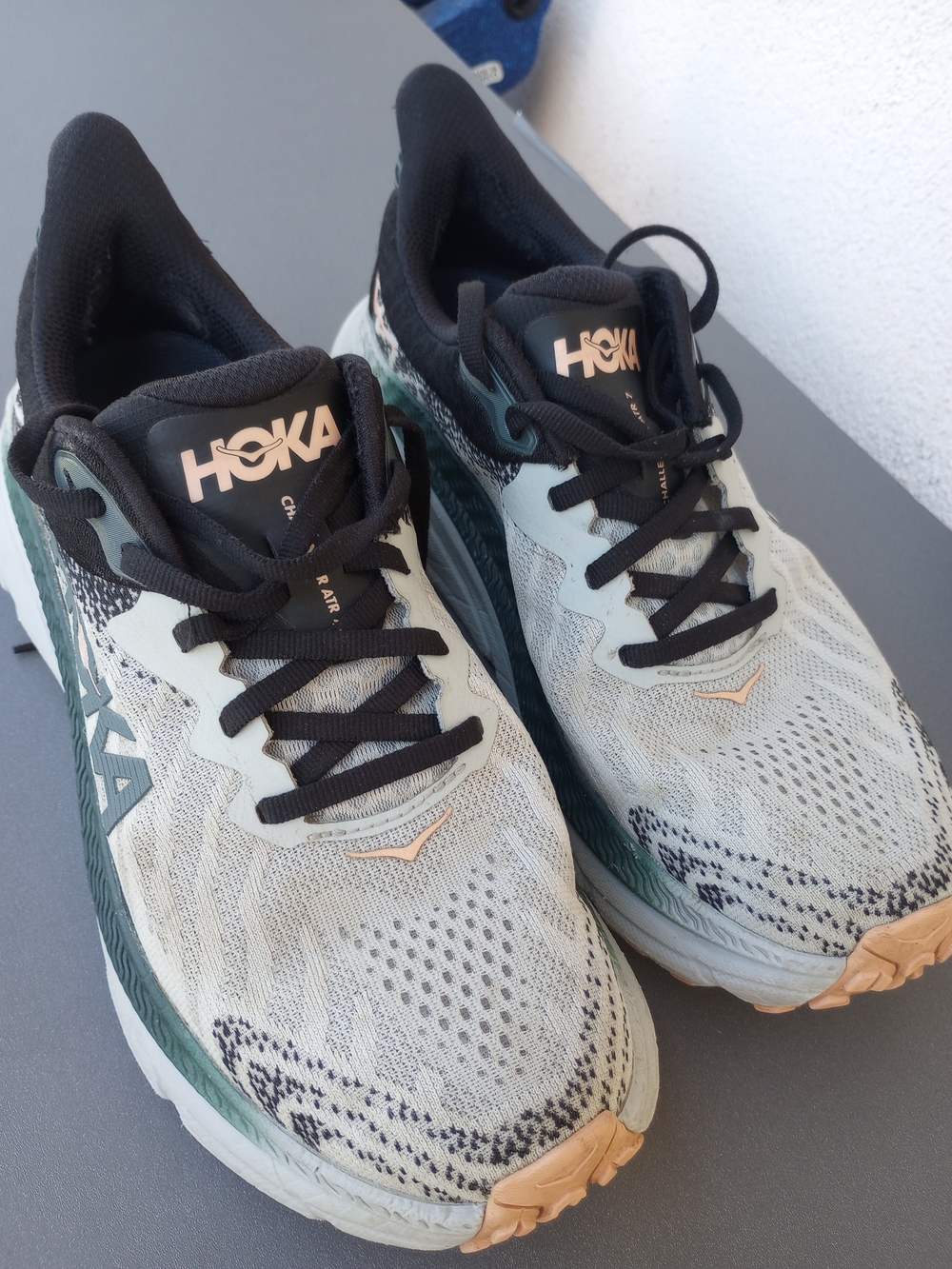 Hoka One One Challenger ATR 7 Harbor Mist/ Spruce Women's 8.5B Men's 7 Shoes.